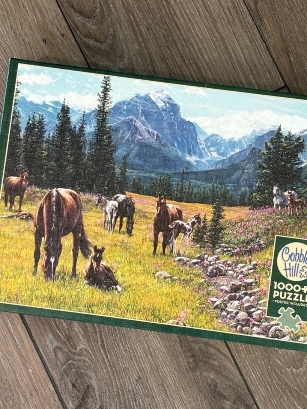 1000 Piece Cobble Hill Jigsaw Puzzle